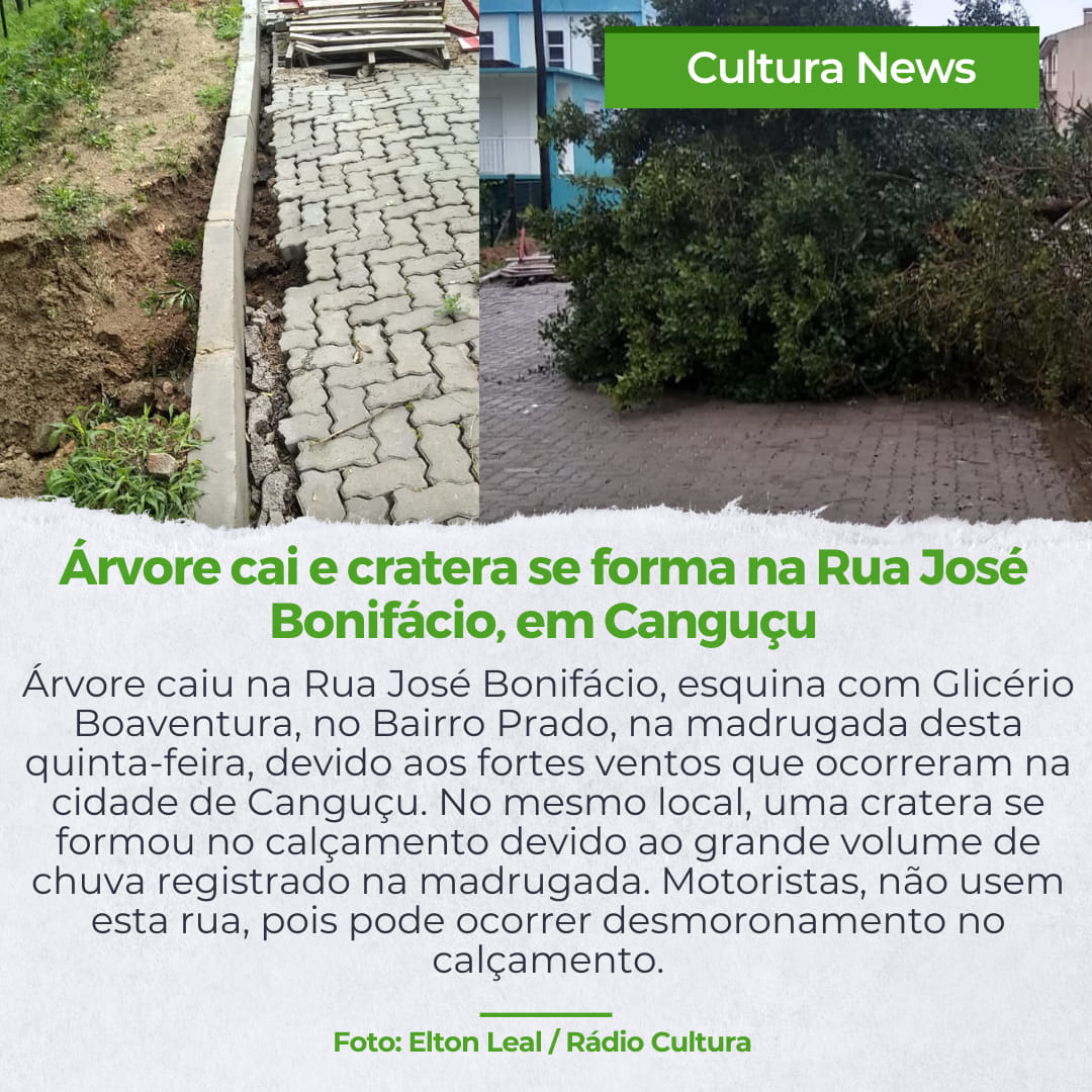 Árvore cai em Canguçu após ventania!!!